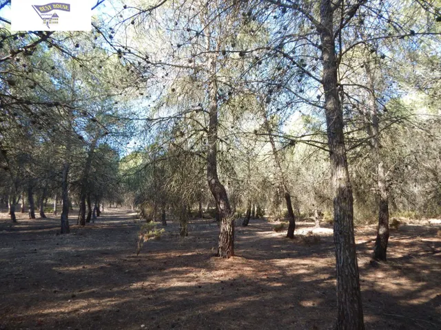 GRAN PARCELA URBANIZABLE EN PLENA NATURALEZA DE LA URB. HELIOS!!! — 6