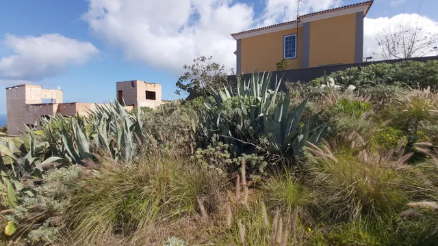 TERRENO EN VENTA EN CALLE TAJINASTE SAUZAL — 9