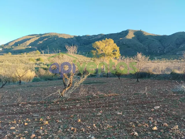 Casa de piedra con 61 hectáreas de terreno — 14