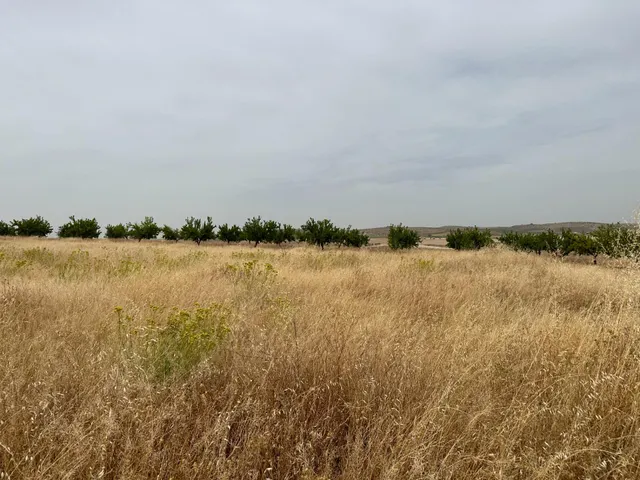 VENTA DE SOLAR INDUSTRIAL EN CHIMENEAS — 36