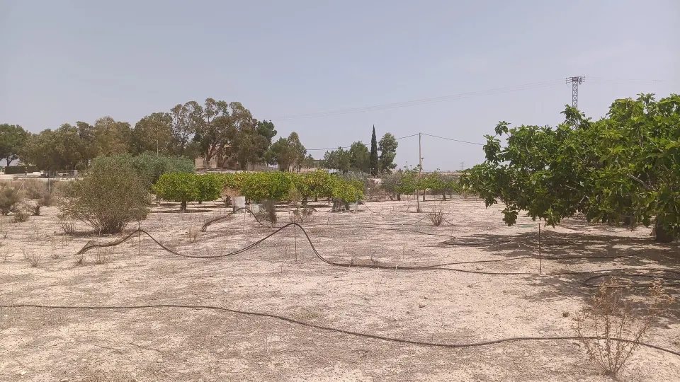 VENTA DE PARCELA EN MOLINA DE SEGURA