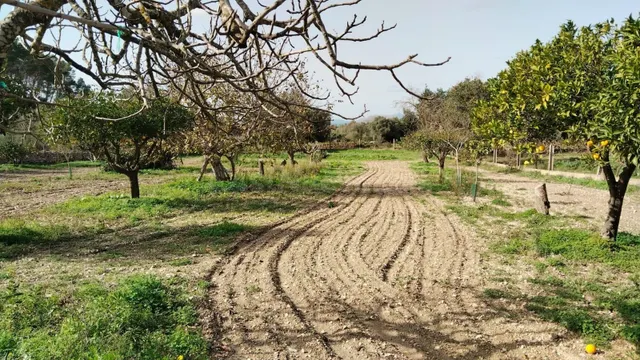 Casa de campo en venta en zona Es Carritxó en Felanitx - foto 4