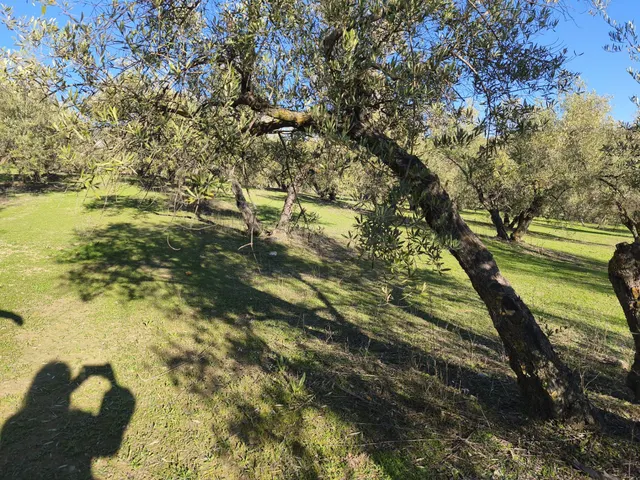 Terreno rural en venta - Sierra de huetor y la alfaguara — 13