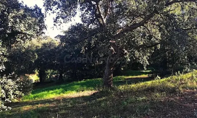 Parcela en venta - Centro - foto 5
