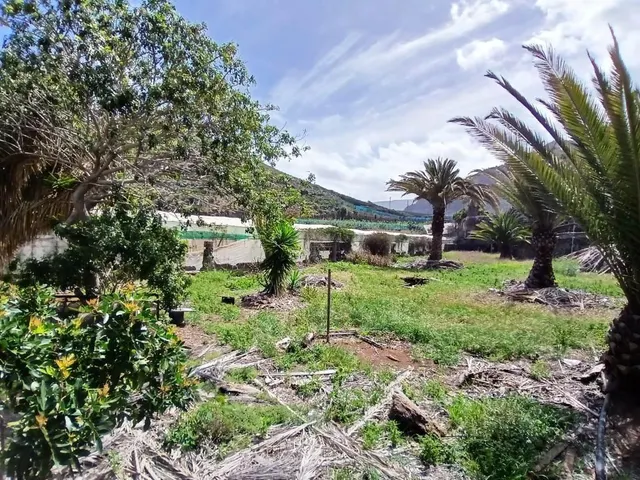 Casa con finca en Buenavista del norte — 11