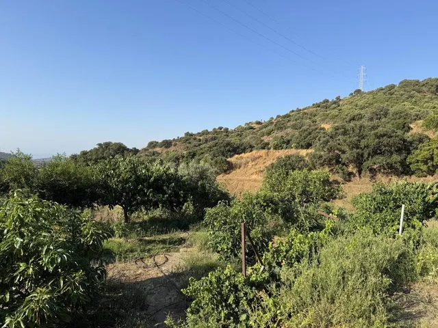 Encantadora casa de campo en Estepona, a solo 15 minutos del centro — 29