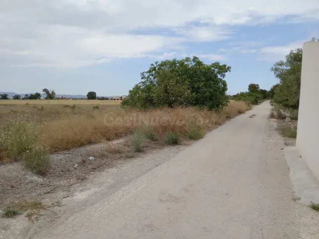 Parcela 11900m² en venta - Costa blanca sur - foto 3