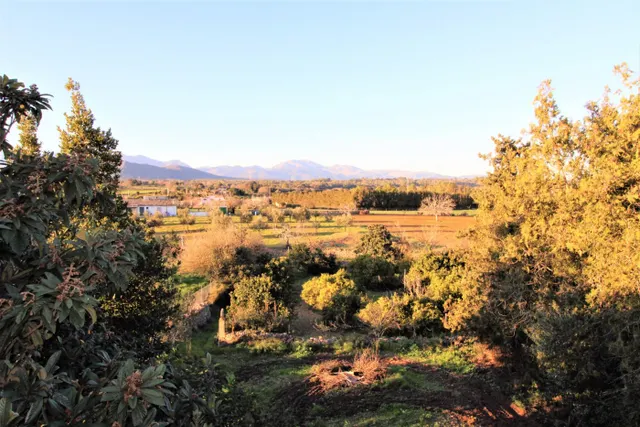 Finca Rústica en Llubí - foto 4