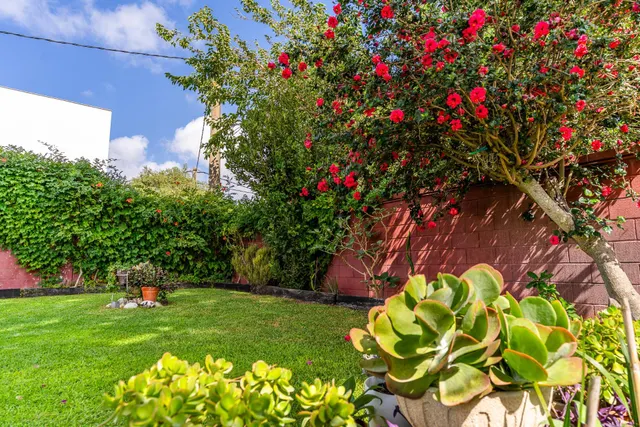 VENTA DE CHALET EN VENTA EN LAS DEHESILLAS — 23