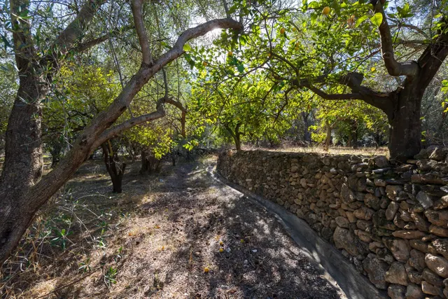 FINCA RUSTICA EN LA VEGUETA, PINOS DEL VALLE!! — 9
