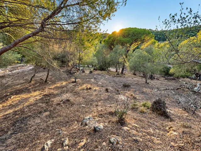 Finca rústica de 18.444 m2 con pozo y construcción catastrada en Alcalá de los Gazule — 40