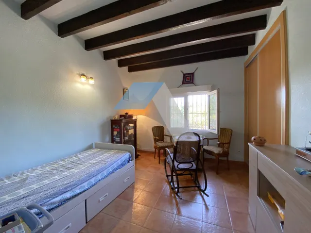Chalet independiente con piscina en gran parcela rústica, rodeado de pinos y olivos – A menos de 1 km del Polideportivo Municipal de San Vicente del Raspeig — 34