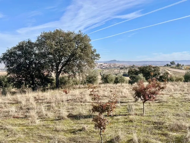 A. Terreno rural en Fuente Obejuna. - foto 5