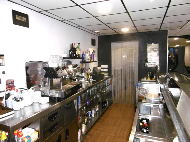 SOLAR CON LOCAL COMERCIAL EN PLANTA BAJA ACTUALMENTE CON NEGOCIO DE BAR — 25