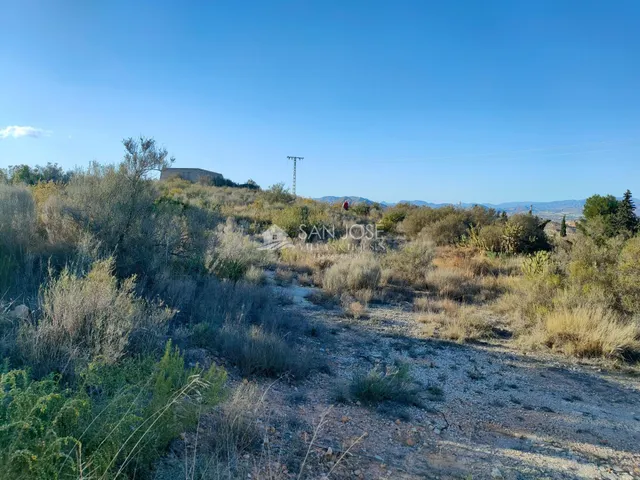 INMOBILIARIA SAN JOSE VENDE PARCELA RUSTICA EN ASPE ZONA BOR - foto 3