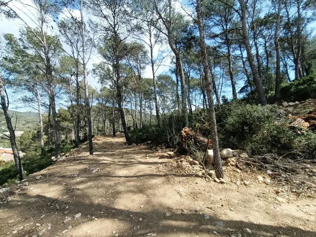 ¡¡Gran ocasión!! Parcela soleada con vistas — 4