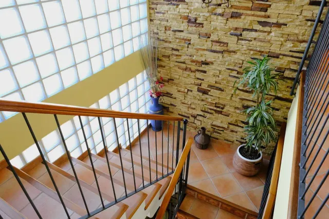 Finca rústica 5 habitaciones 495m² en venta - Montepinar-La Aparecida-Raiguero — 24