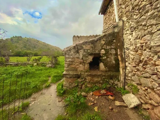 Finca rústica con caseta y 6000m2 para tus proyectos de campo — 6