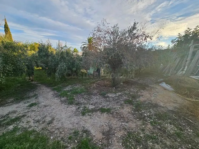 Casa de Campo en Novelda - foto 5