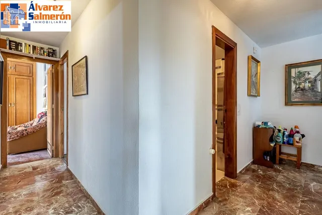 Pisazo en paseo del salón - Granada — 36