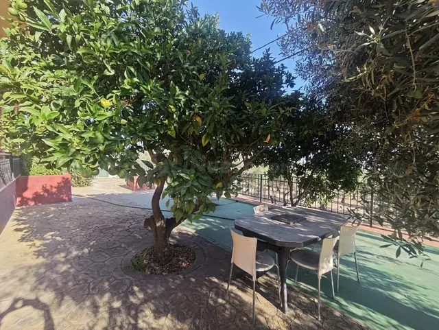 Campo en Sax 14.000 m2 parcela y casa con piscina — 40