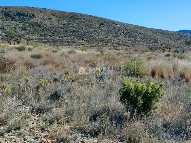 SE VENDE PARCELA EN LA SOLANA DE HONDON DE LOS FRAILES — 4
