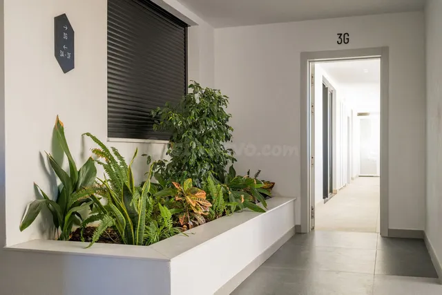 Ático 3 habitaciones 452m² en venta - Centro - foto 3