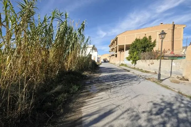 Gran parcela en Padul — 22