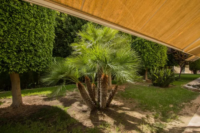 ¡villa de lujo con jardín botánico, piscina y pista de tenis en alzabares! — 14