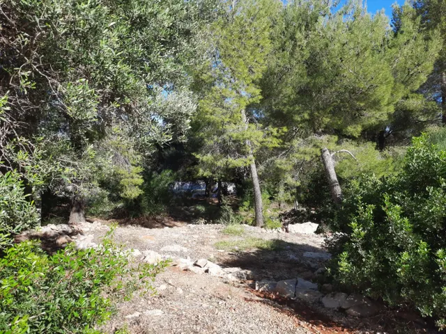 Parcela en zona Corral de calafat — 21