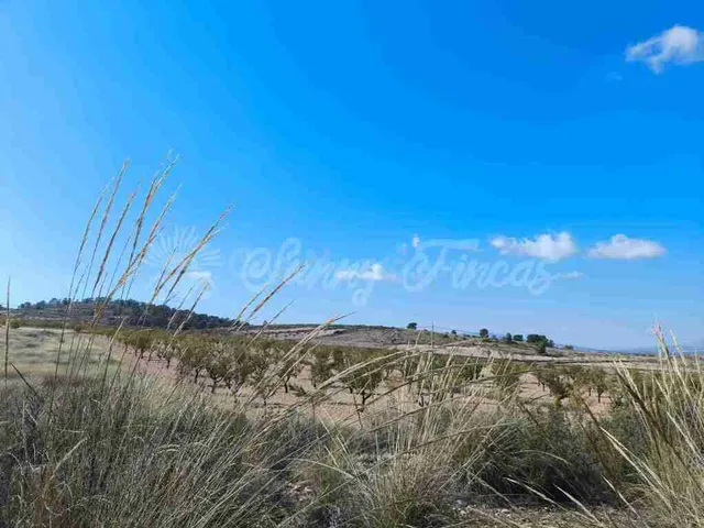 Suelo rústico en Venta en Jumilla Murcia — 8