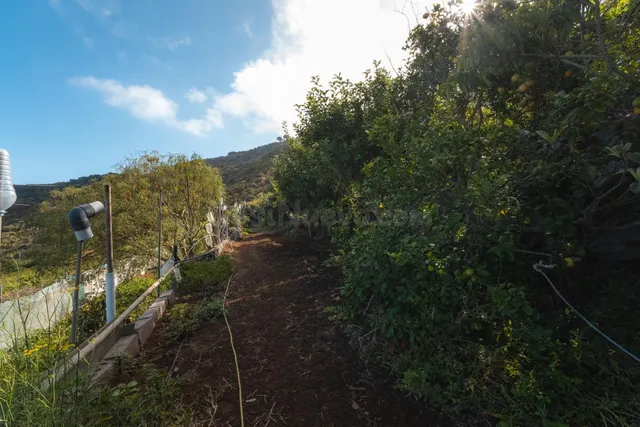 Finca rústica con casa terrera y vistas al mar en tierra del trigo, los silos — 29