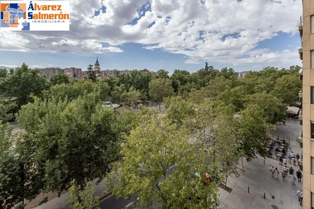 Pisazo en paseo del salón - Granada — 4