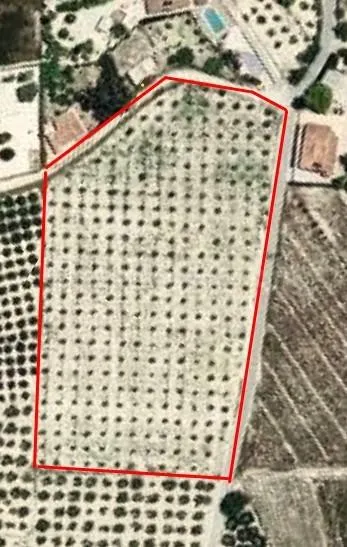 ¡Oportunidad única! Parcela rústica de 12.157 m2 en El Rebol - foto 2