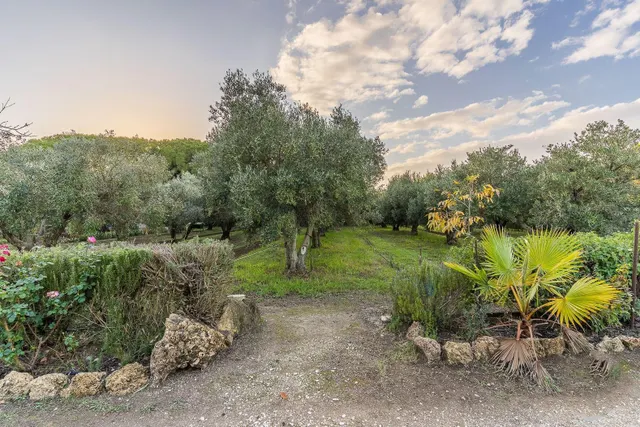 Finca Rural — 30