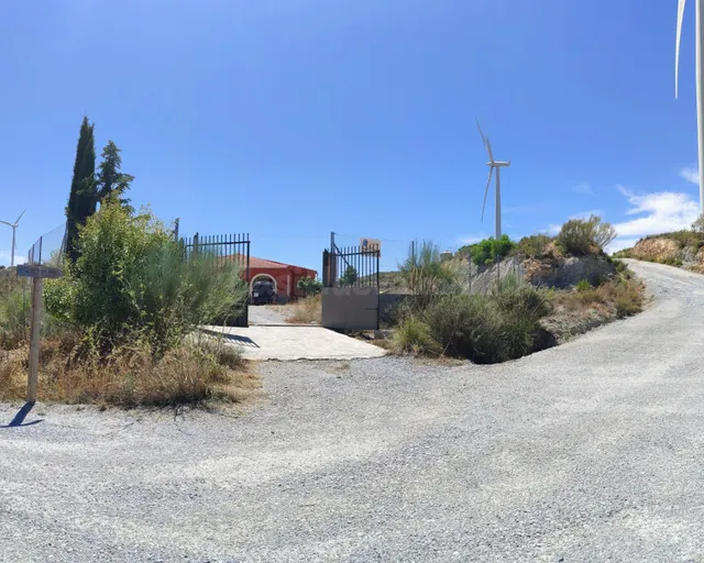 FINCA RÚSTICA DE 120000 METROS CON CASA, 70 OLIVOS Y PLACAS  - foto 2