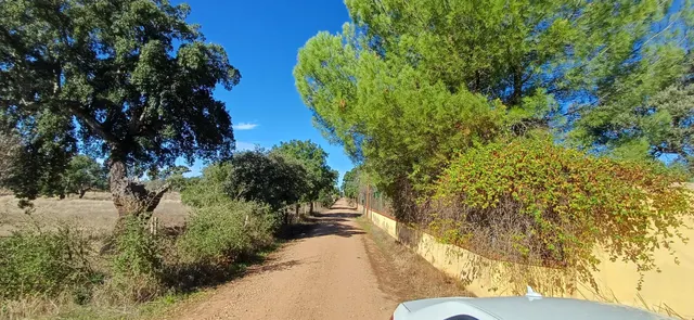 PARCELA EN DS DE BOTOA — 16