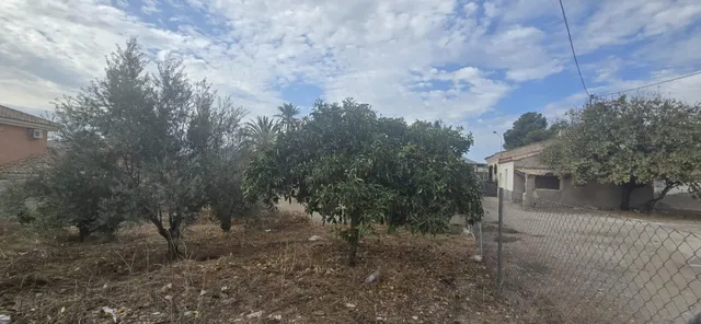 Acogedora casa de campo - Majada, Mazarrón — 10