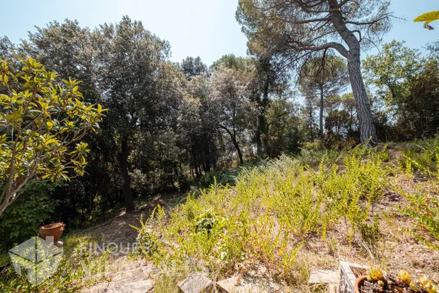 Casa con gran jardín en la naturaleza — 36