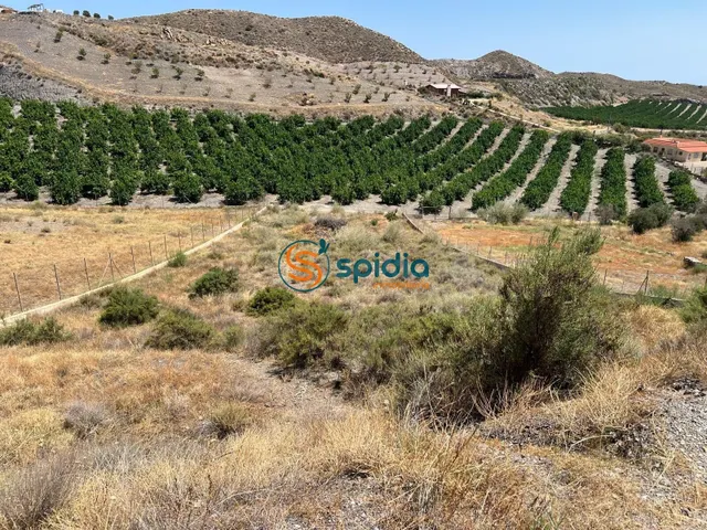 TERRENO RÚSTICO DE 2.200 m2 A LA VENTA EN TEBAR CON AGUA Y L - foto 4