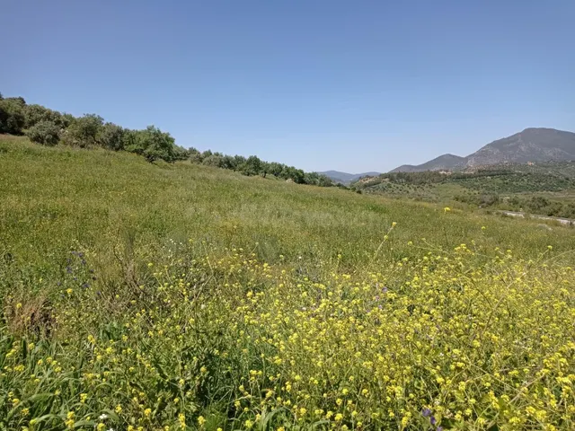 SE VENDE TERRENO EN ZAHARA DE LA SIERRA - foto 3