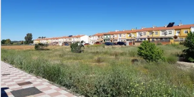 130 parcelas de terreno en La Carolina con una superficie co - foto 5