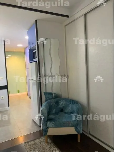ESTUDIO REFORMADO EN LA AVENIDA PORTUGAL - foto 4