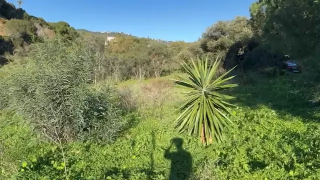 Terreno edificable en Elviria, Marbella: villa de lujo con v - foto 4