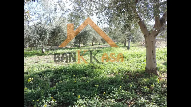 SE VENDE TERRERENO RURAL EN BERJA CON CORTIJO — 19