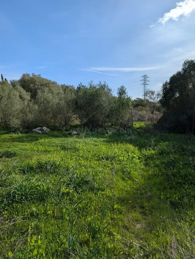 MAGNIFICA FINCA RUSTICA EN SINEU - foto 5