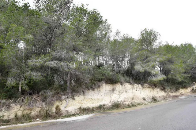 PARCELA EN CAN PERE LA PLANA — 6