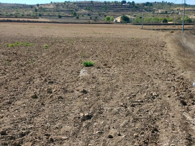 SE VENDE PARCELA EN BARBARROJA CERCA DEL PUEBLO — 6