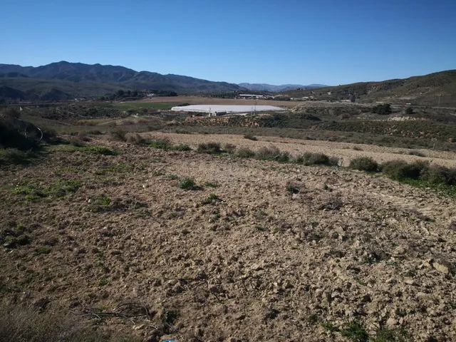 Se vende en Los Gallardos finca rústica en venta junto a la  - foto 3