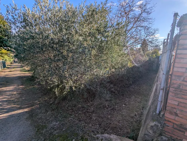 Finca rustica en Estella - foto 2